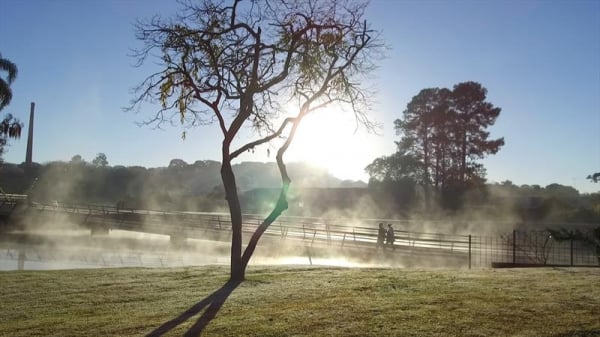 Ponta Grossa atinge 5°C nesta quarta (11); frio continua até o fim de semana
