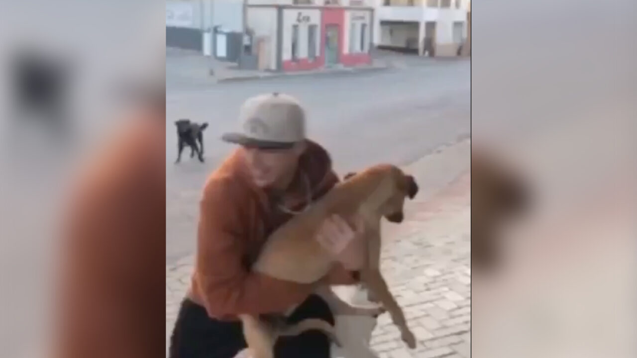 Homem é indiciado por maus-tratos a animal após vídeo viralizar nas redes sociais