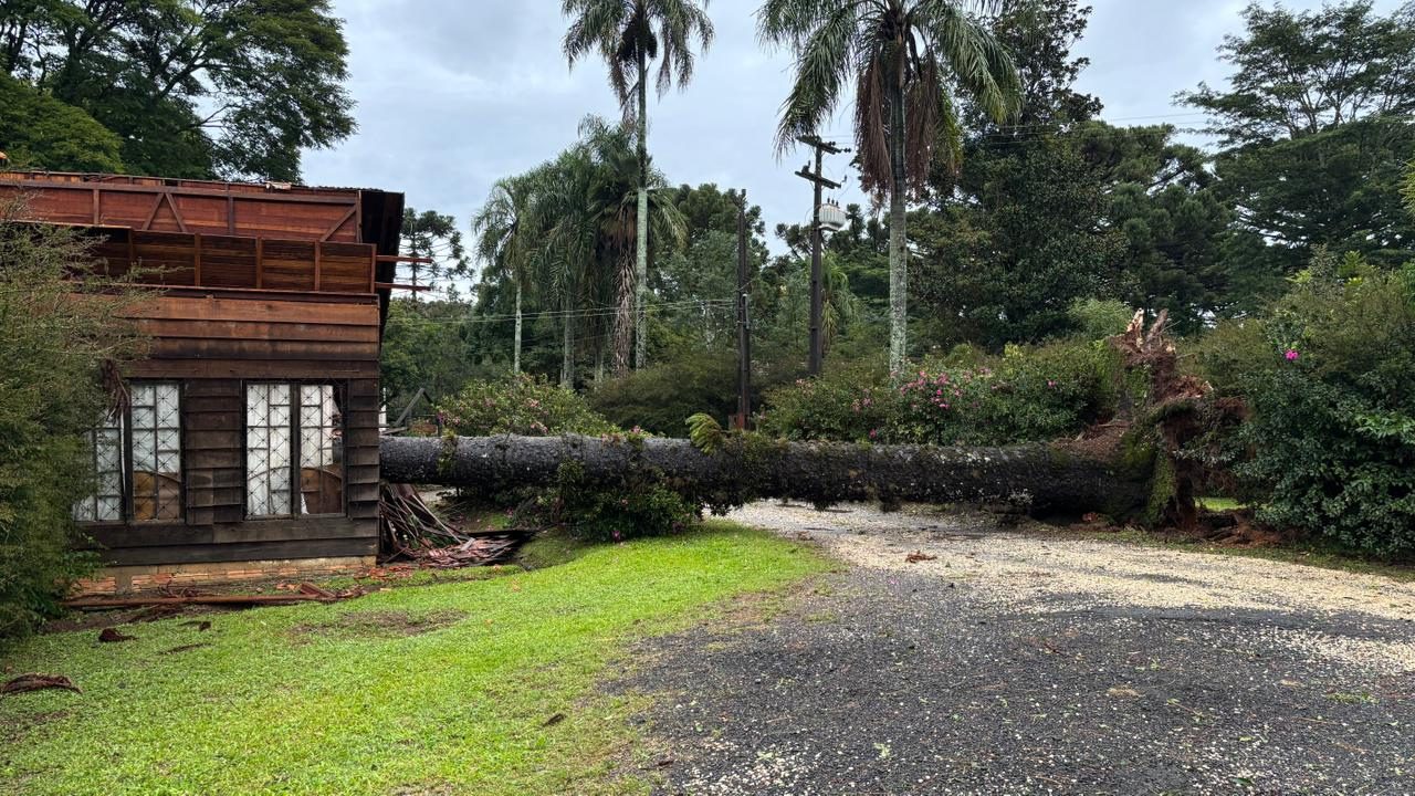 Abadia da Ressurreição cria site para arrecadar doações após temporal em Ponta Grossa
