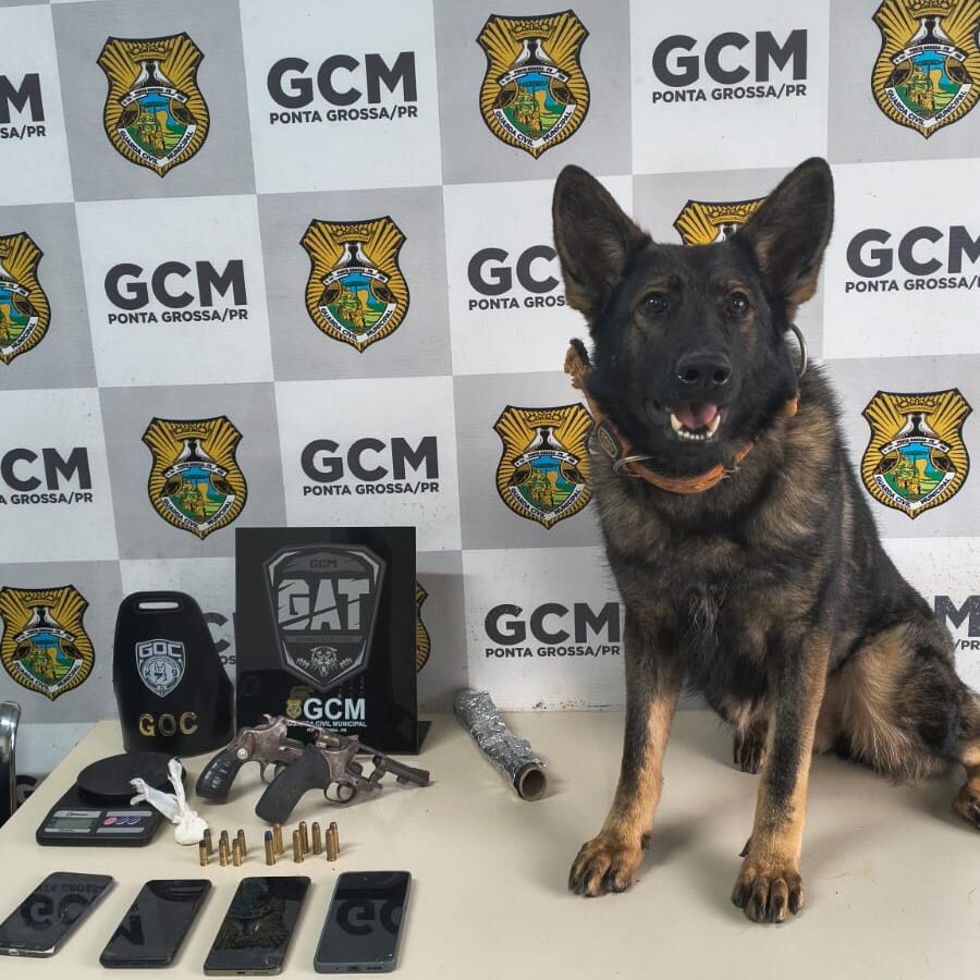 GAT da Guarda Municipal persegue e prende dupla com revólveres e cocaína em PG