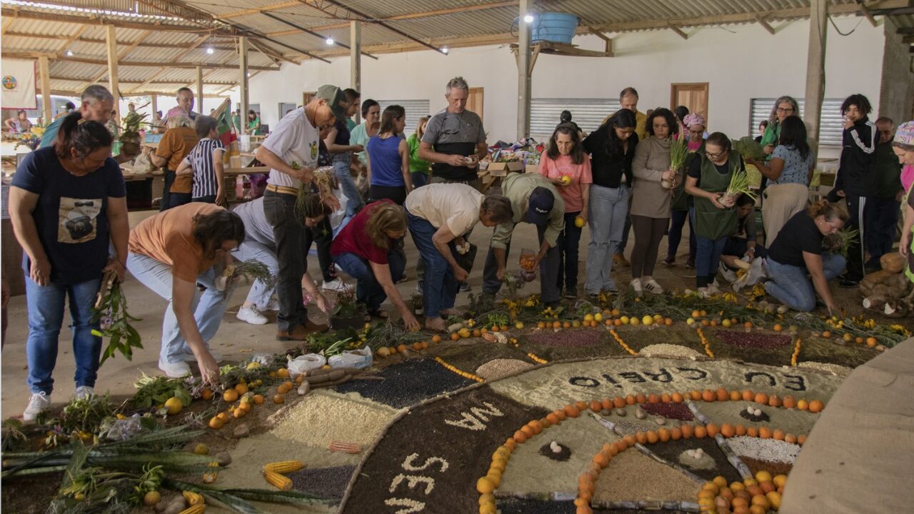 12ª Feira de Sementes Crioulas reúne agricultura familiar, cultura e biodiversidade em Palmeira